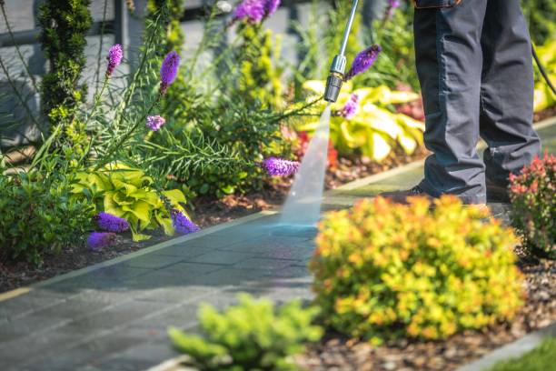 Best Animal Enclosure Cleaning  in Manhattan Beach, CA
